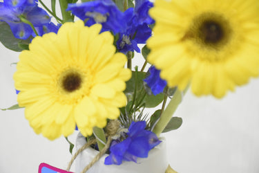 Ceramic Vase Arrangement